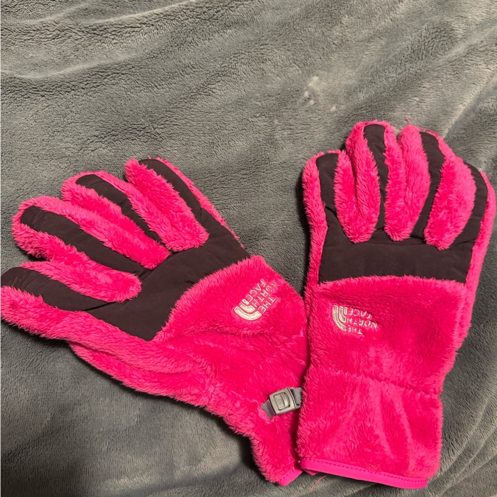 North Face Gloves